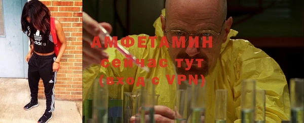 мяу мяу мука Баксан