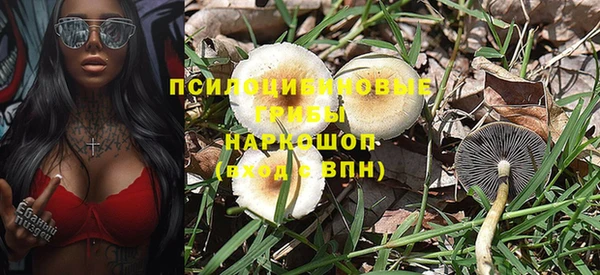 трава Балахна