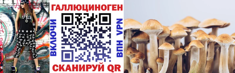 Галлюциногенные грибы Cubensis закладка Луховицы
